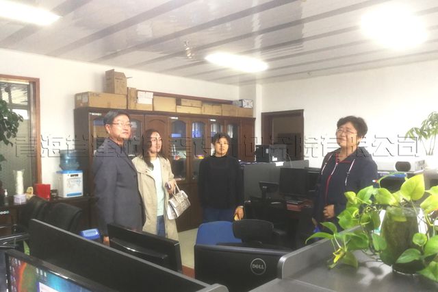 轉向軸承扭力/扭矩測試儀